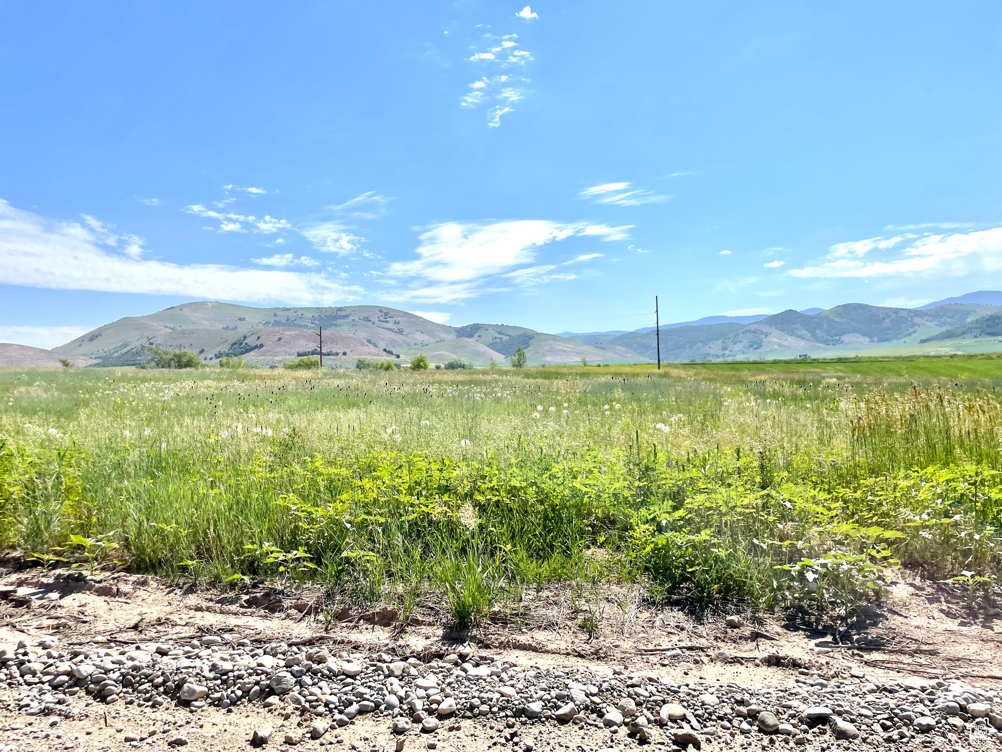 COTTONWOOD ESTATES - Land