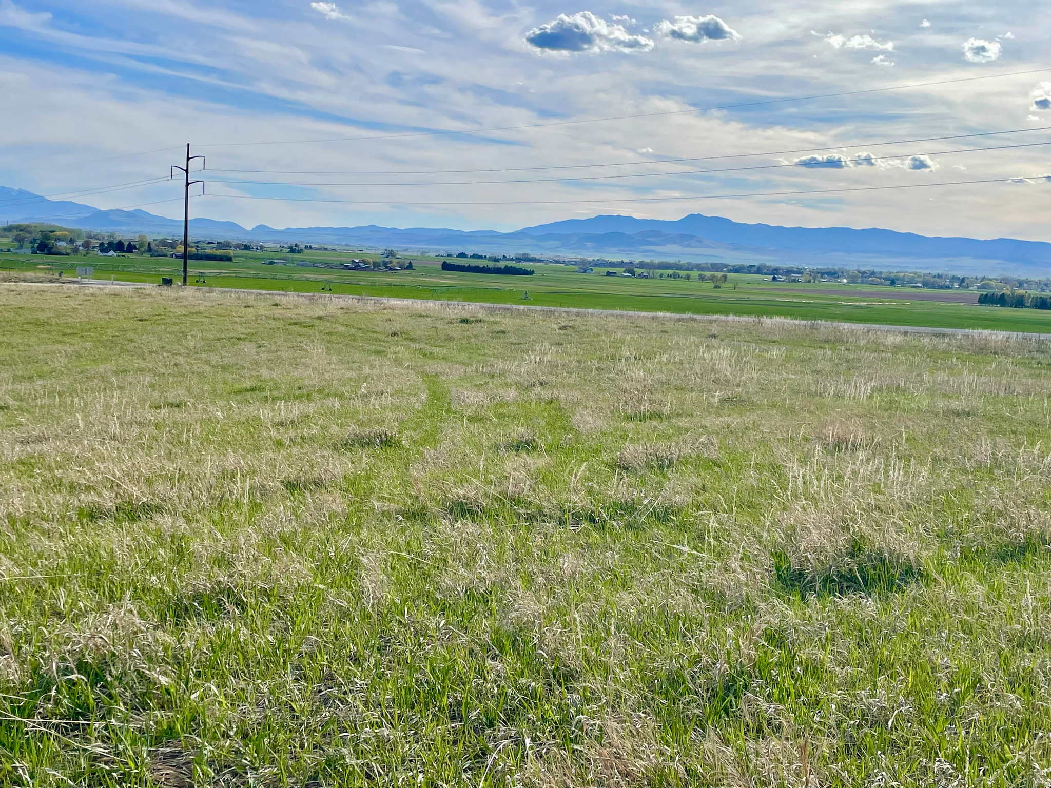 COTTONWOOD ESTATES - Land