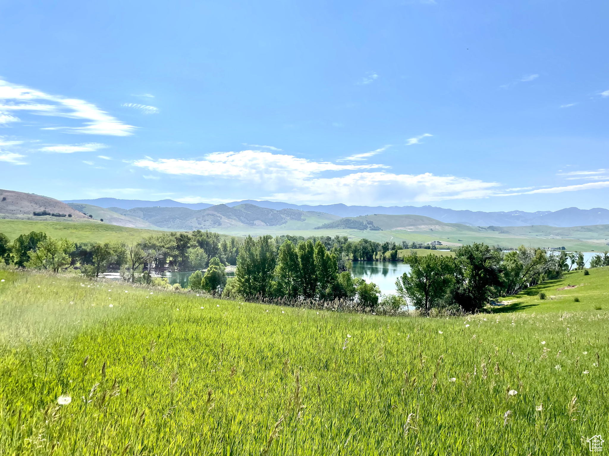 COTTONWOOD ESTATES - Land