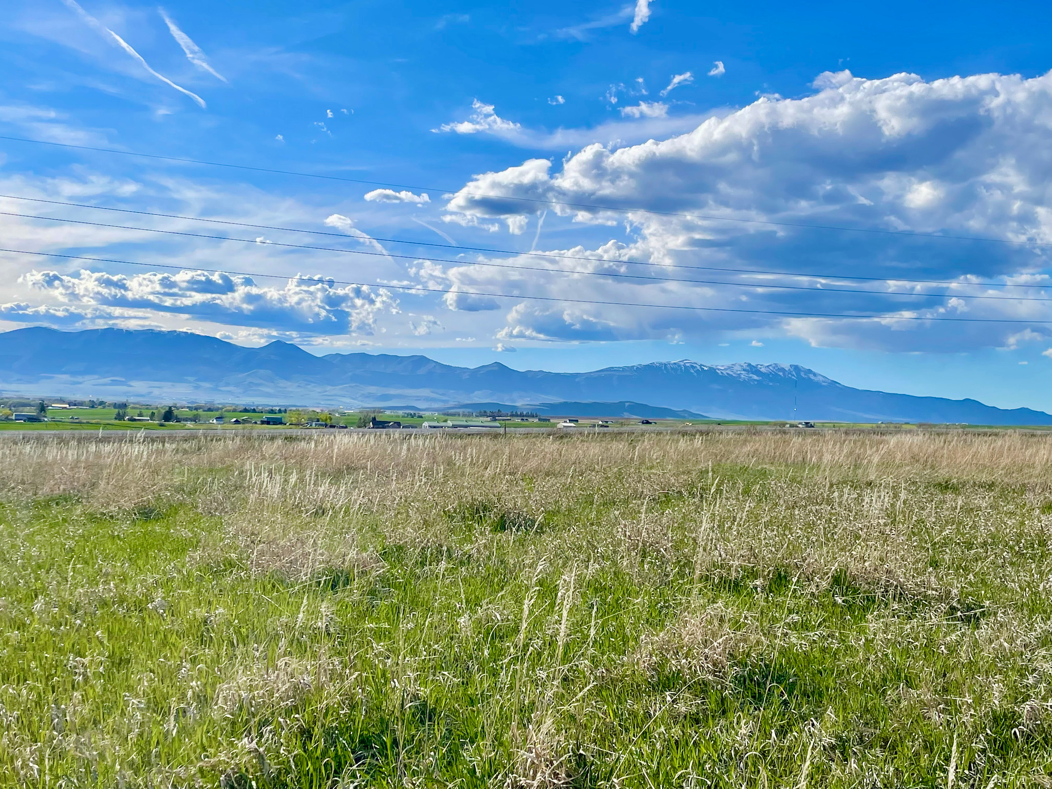 COTTONWOOD ESTATES - Land