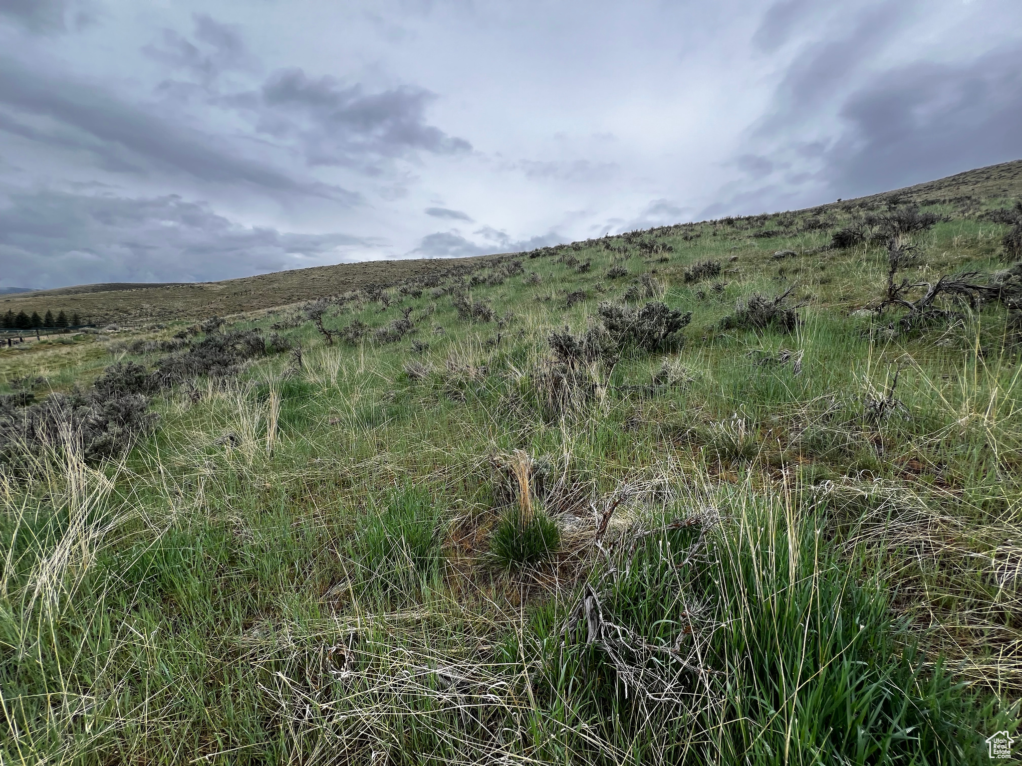 315 E 100 #5, Wallsburg, Utah image 8