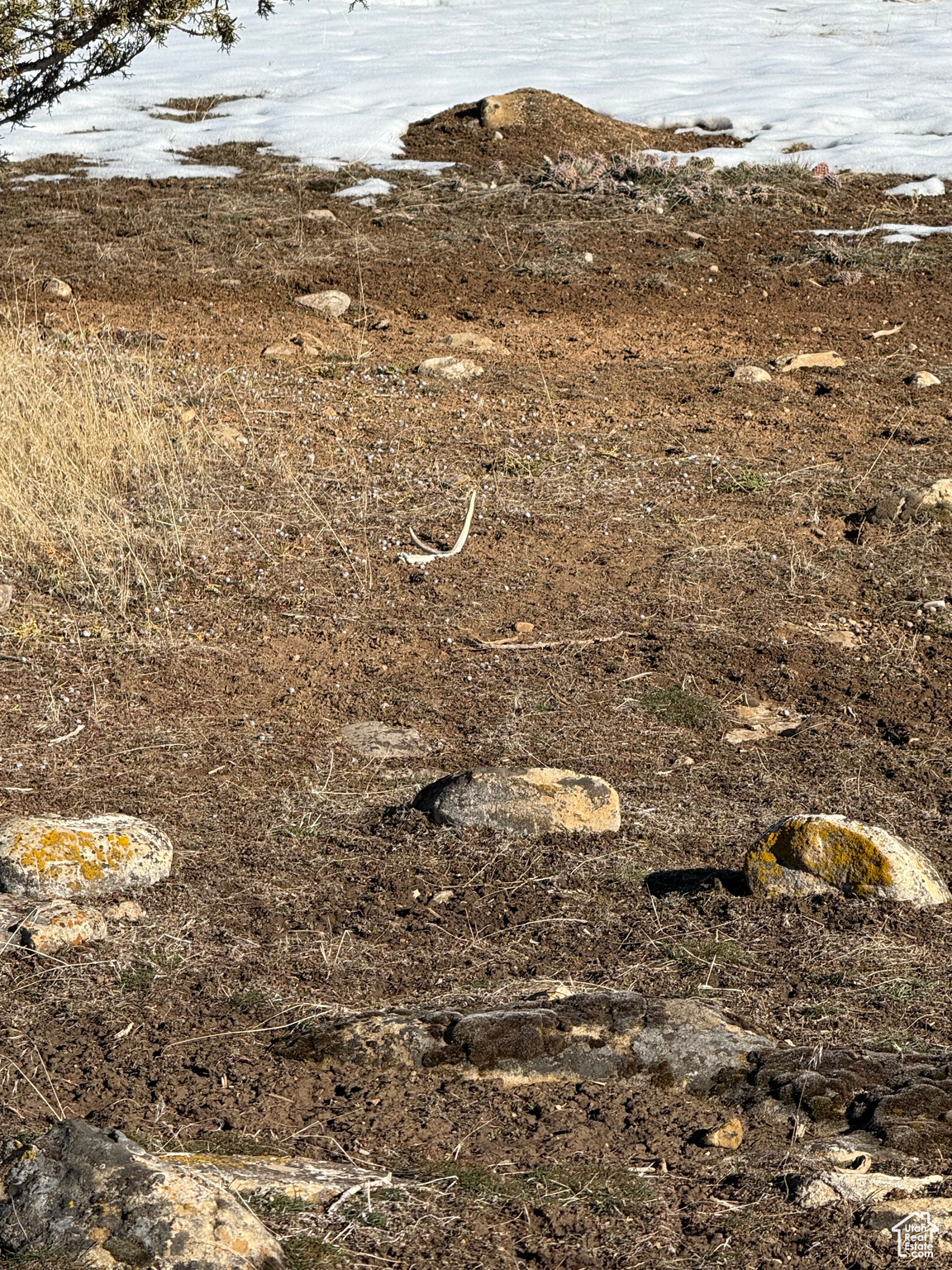 Land, Spring City, Utah image 17