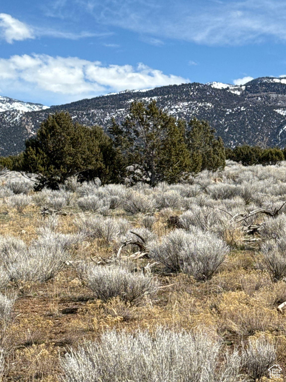 Land, Spring City, Utah image 6