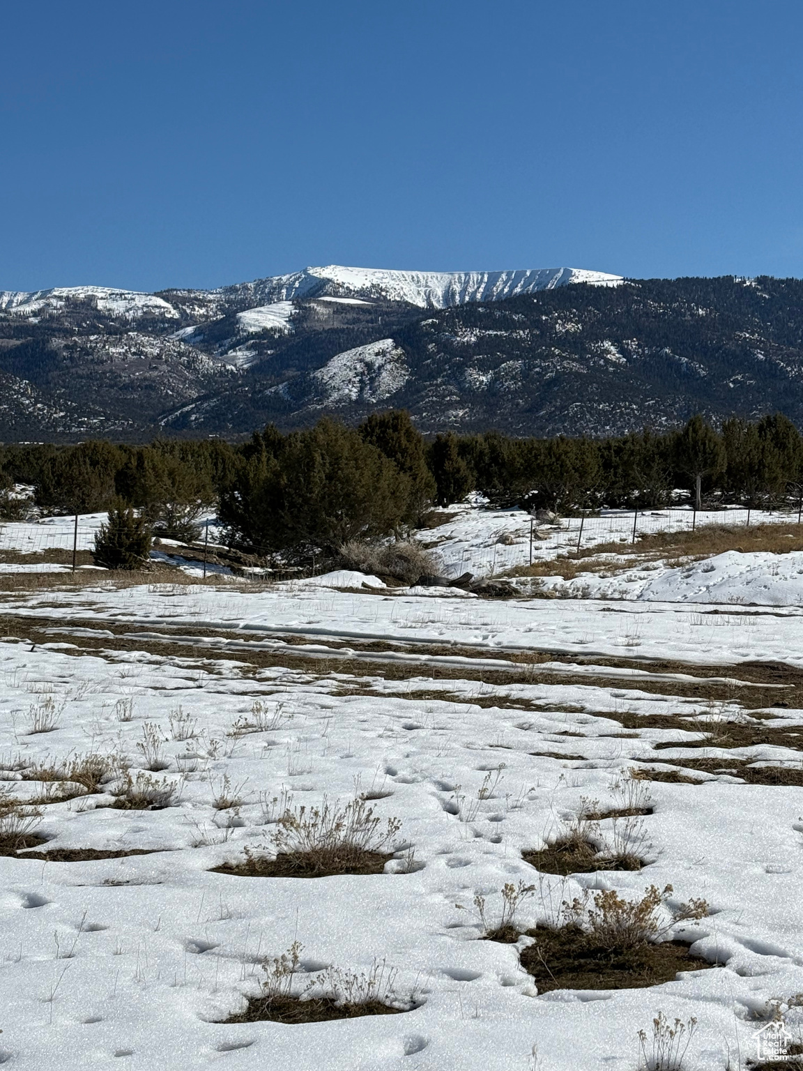 Land, Spring City, Utah image 3
