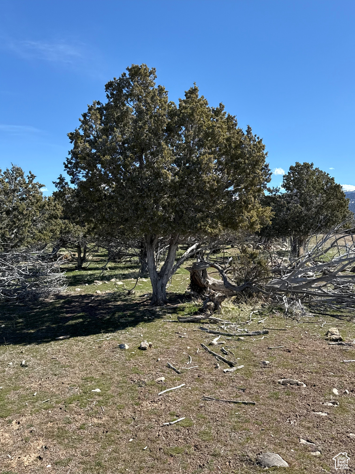 Land, Spring City, Utah image 13