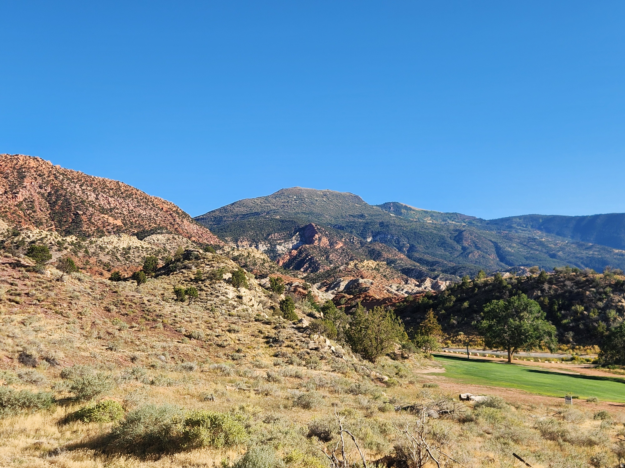 THUNDERBIRD GARDENS ESTATES PUD - Residential