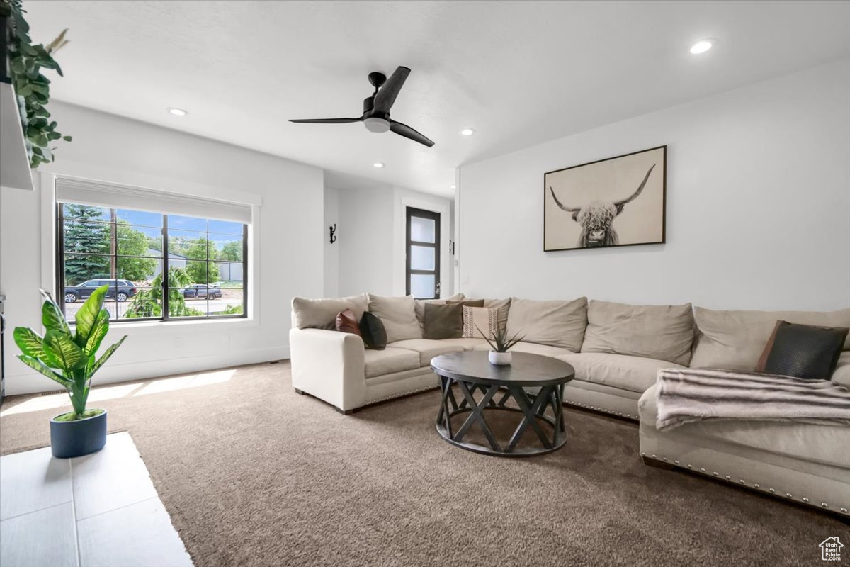 YOUNG PROPERTY - Residential