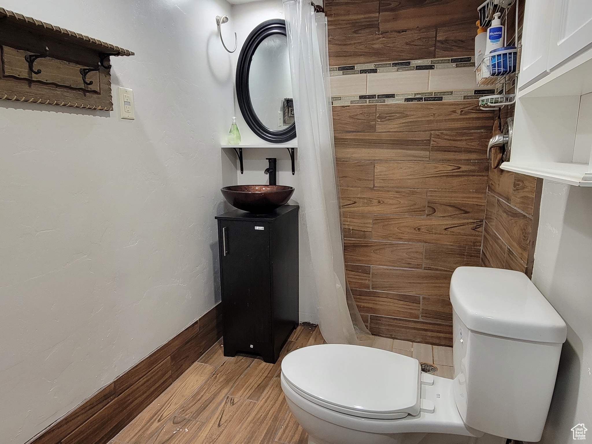 264 W 550, Santaquin, Utah image 18