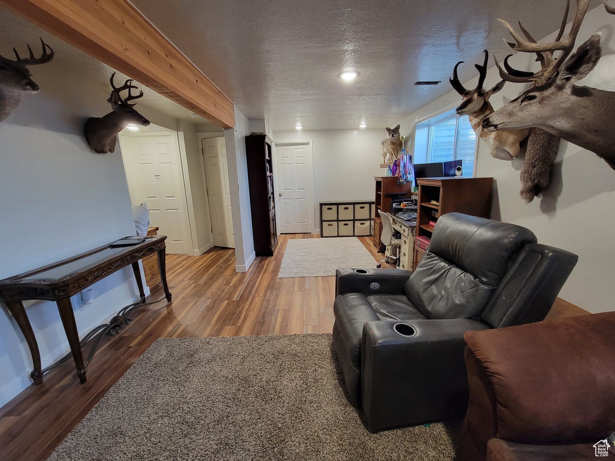 264 W 550, Santaquin, Utah image 16