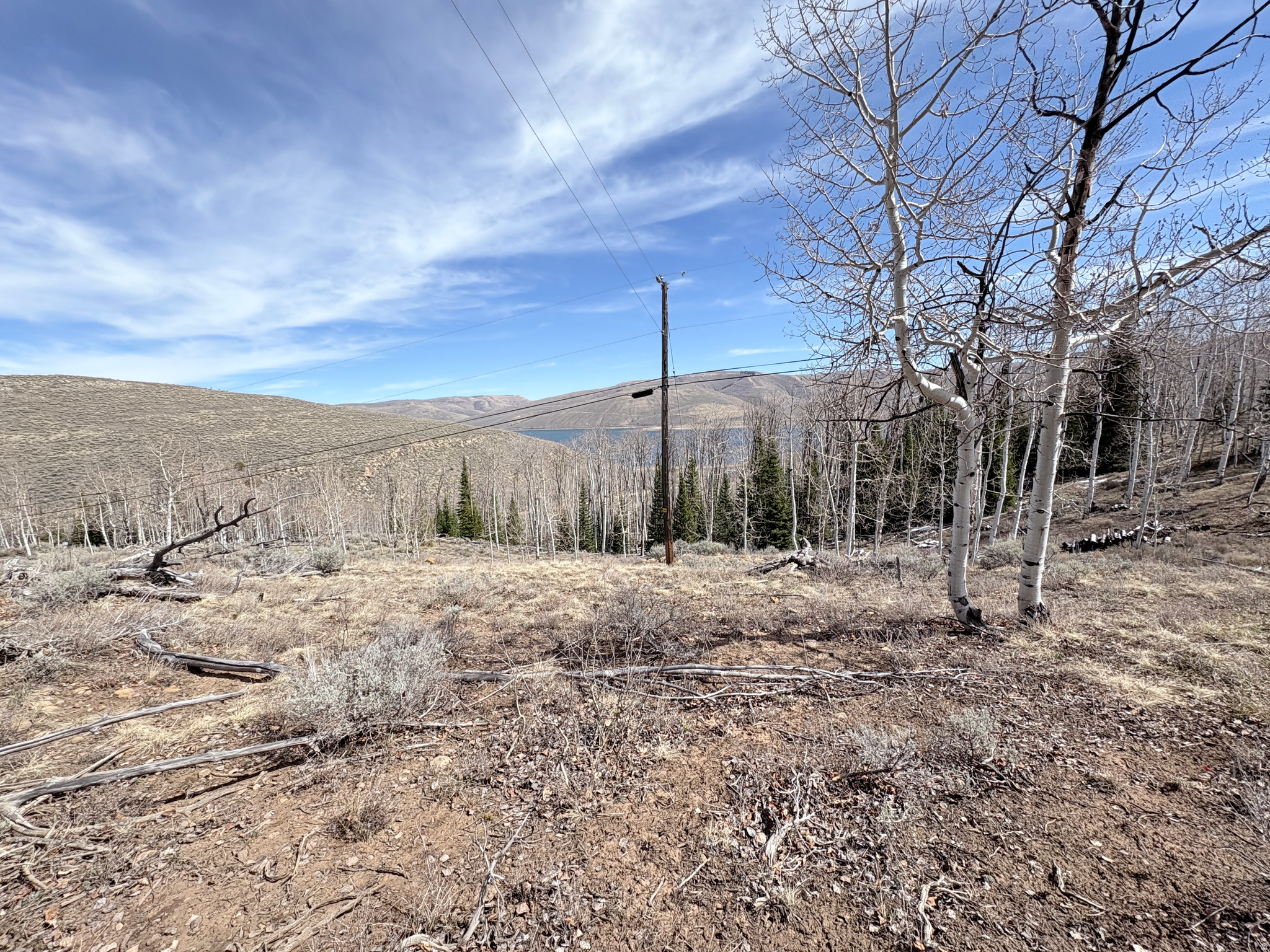 SCOFIELD MOUNTAIN HOMES - Land