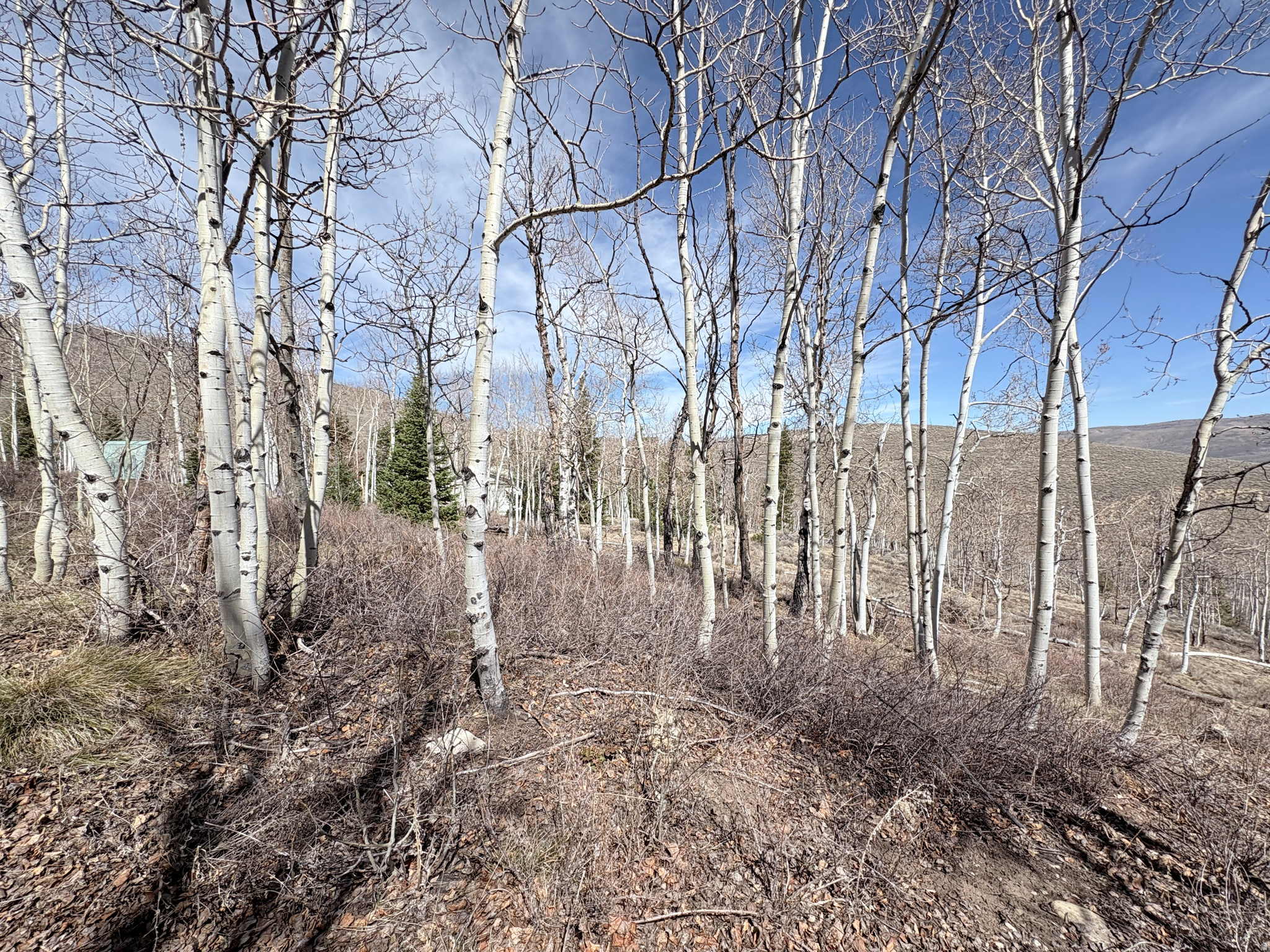 SCOFIELD MOUNTAIN HOMES - Land