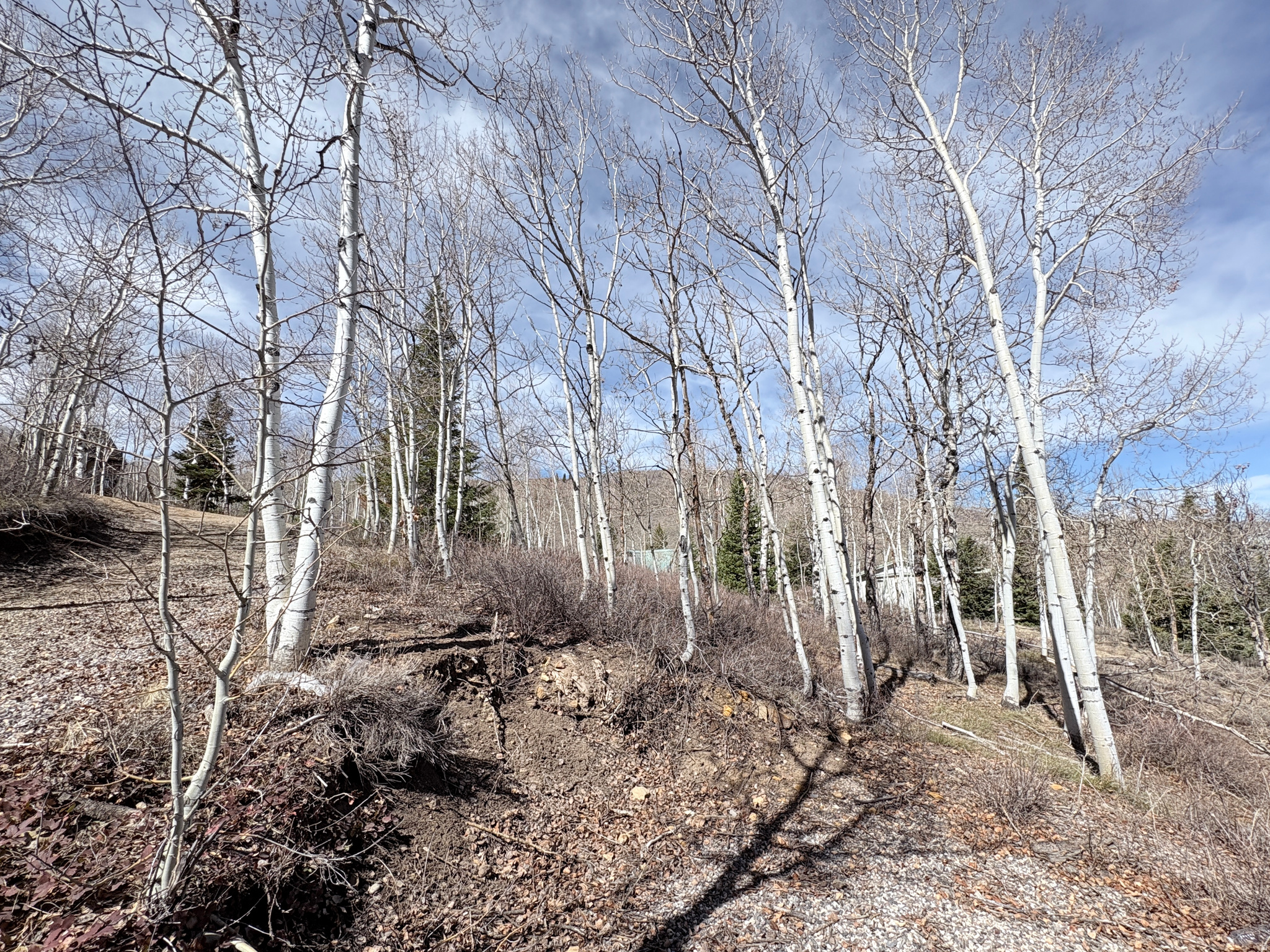 SCOFIELD MOUNTAIN HOMES - Land