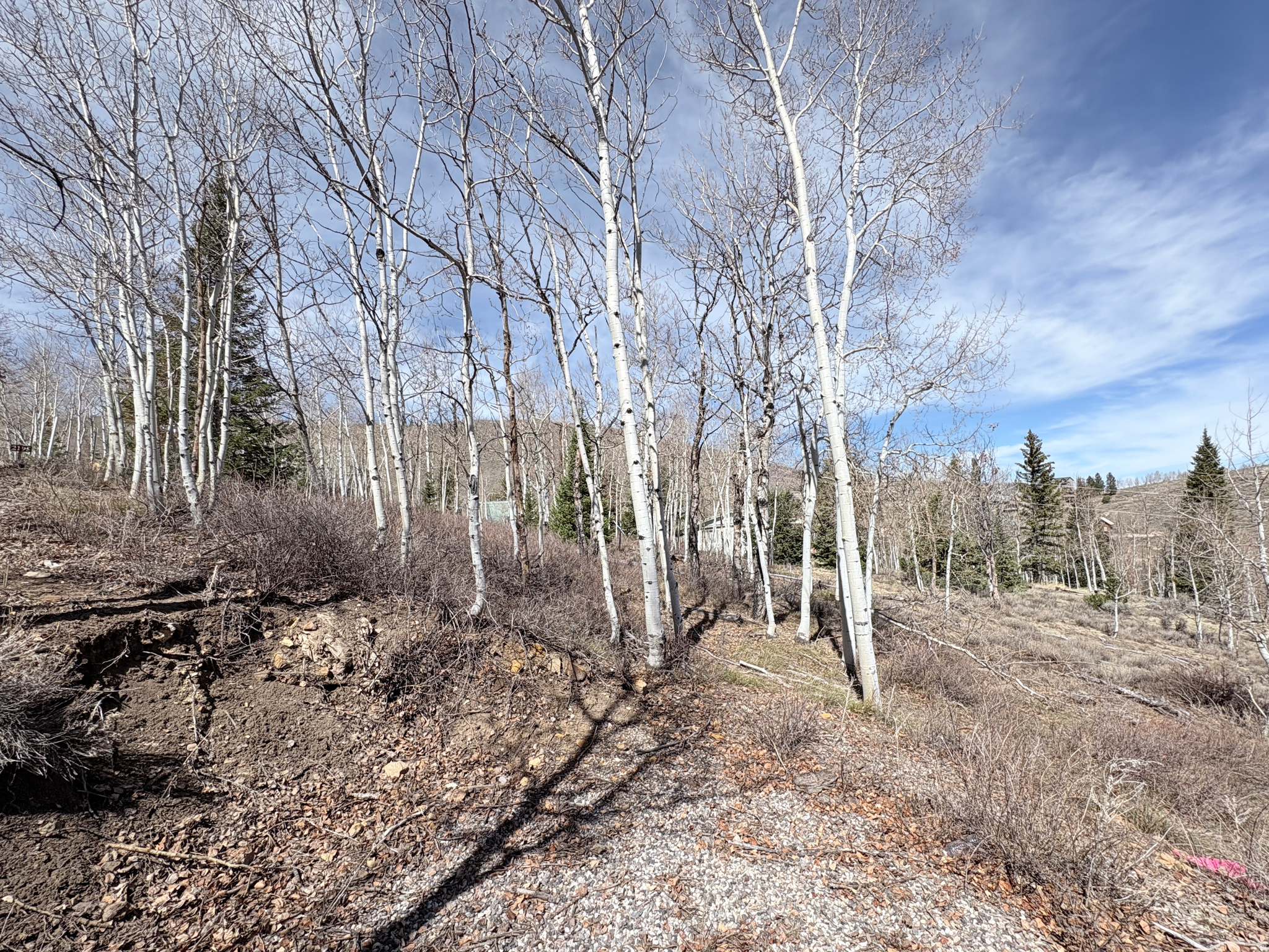 SCOFIELD MOUNTAIN HOMES - Land