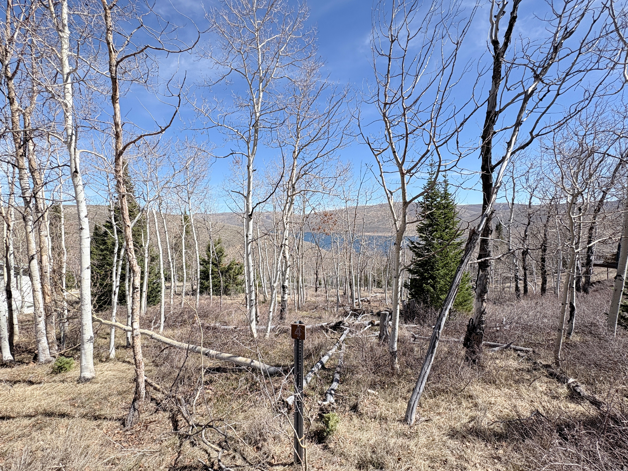 SCOFIELD MOUNTAIN HOMES - Land