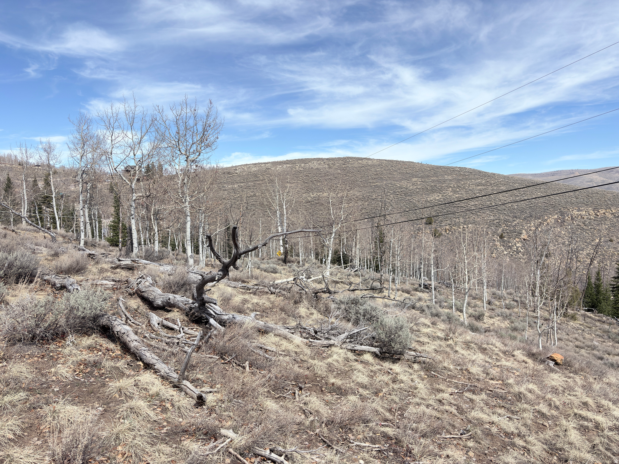 SCOFIELD MOUNTAIN HOMES - Land