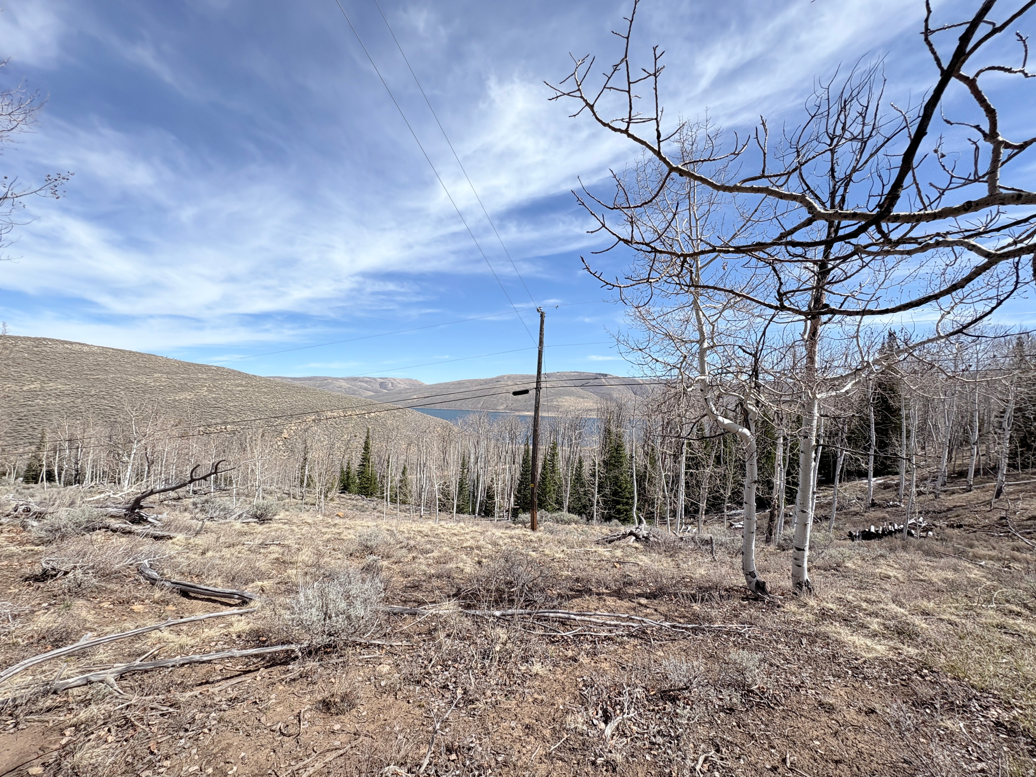 SCOFIELD MOUNTAIN HOMES - Land