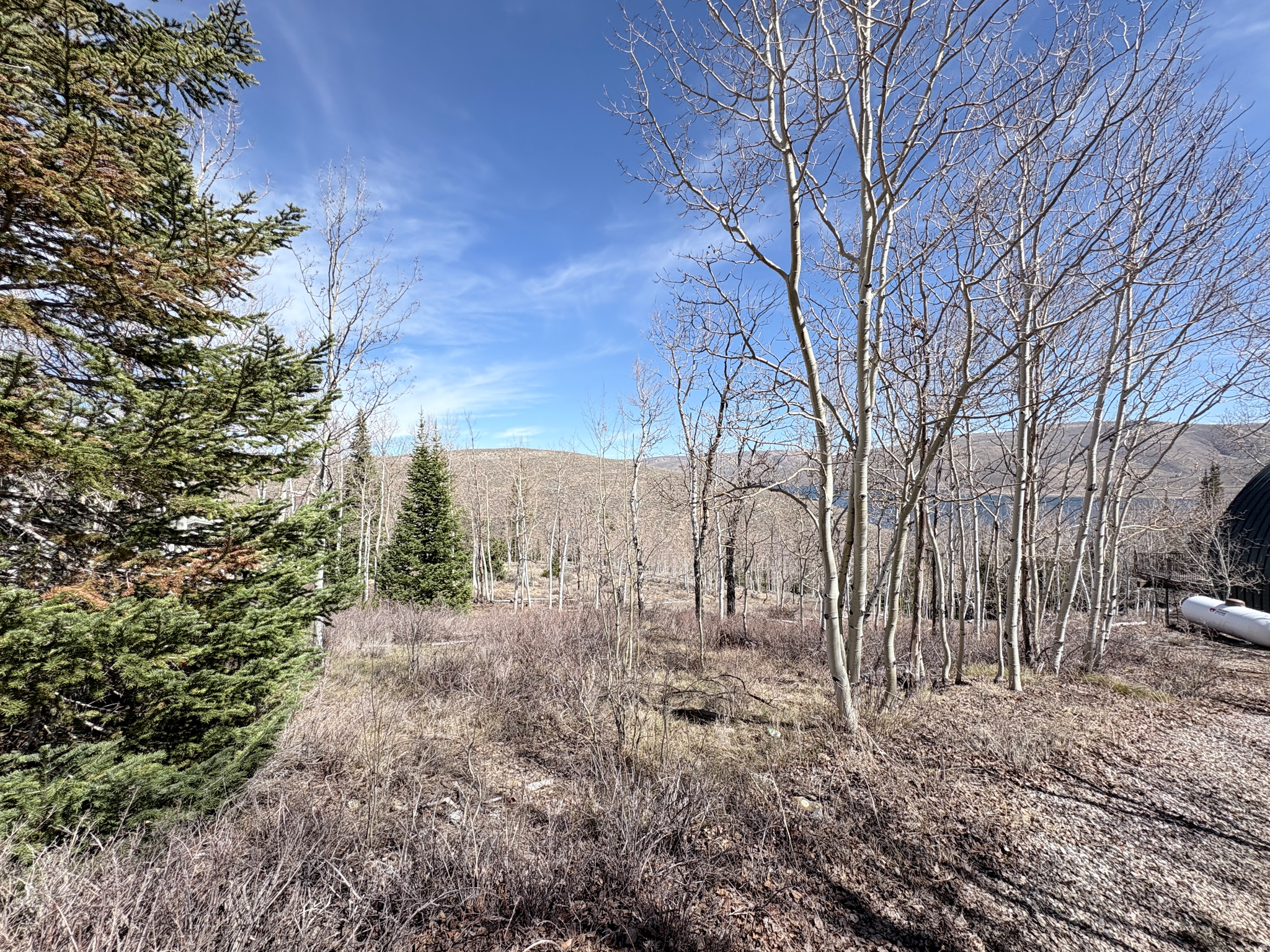 SCOFIELD MOUNTAIN HOMES - Land