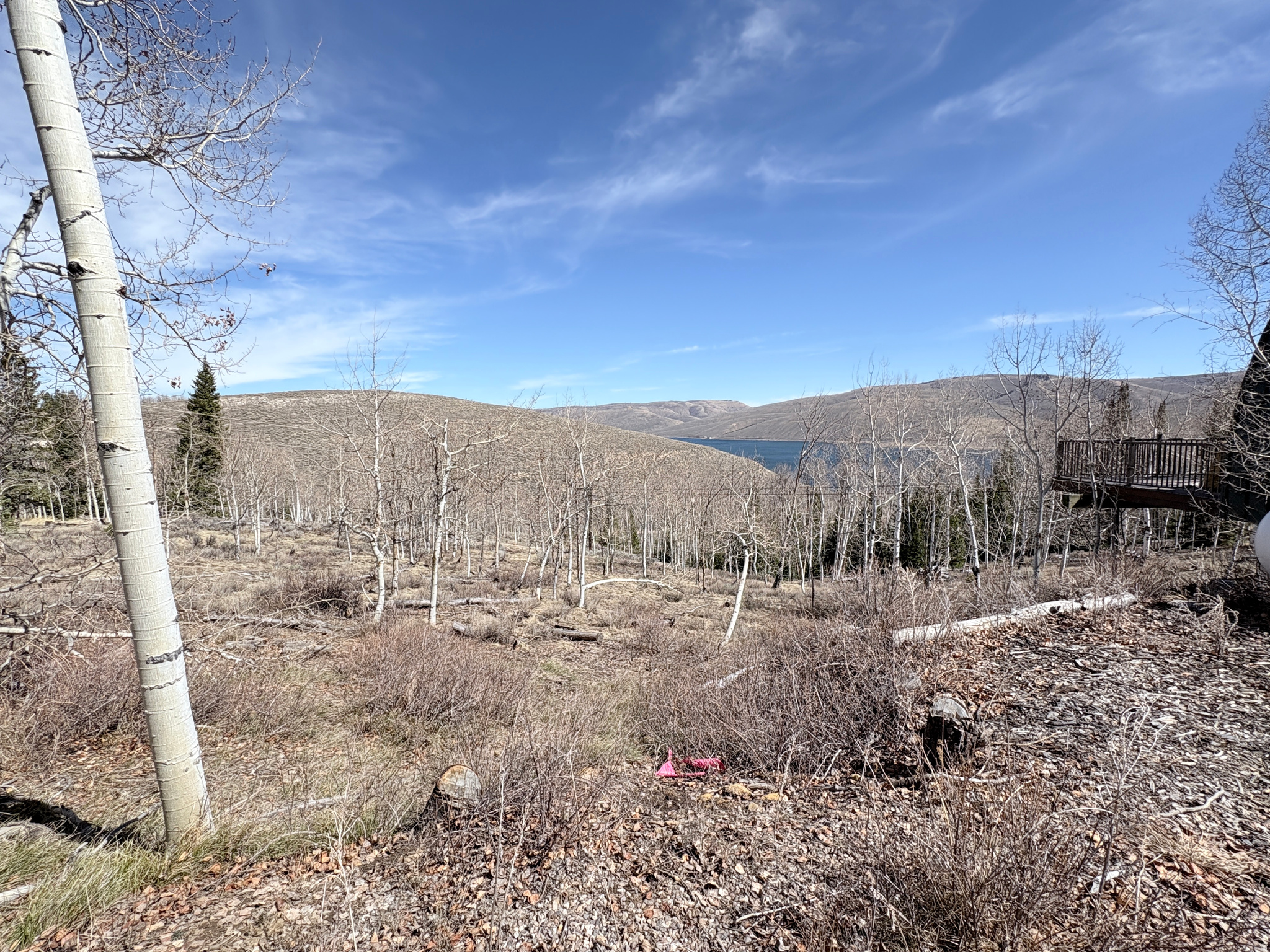 SCOFIELD MOUNTAIN HOMES - Land