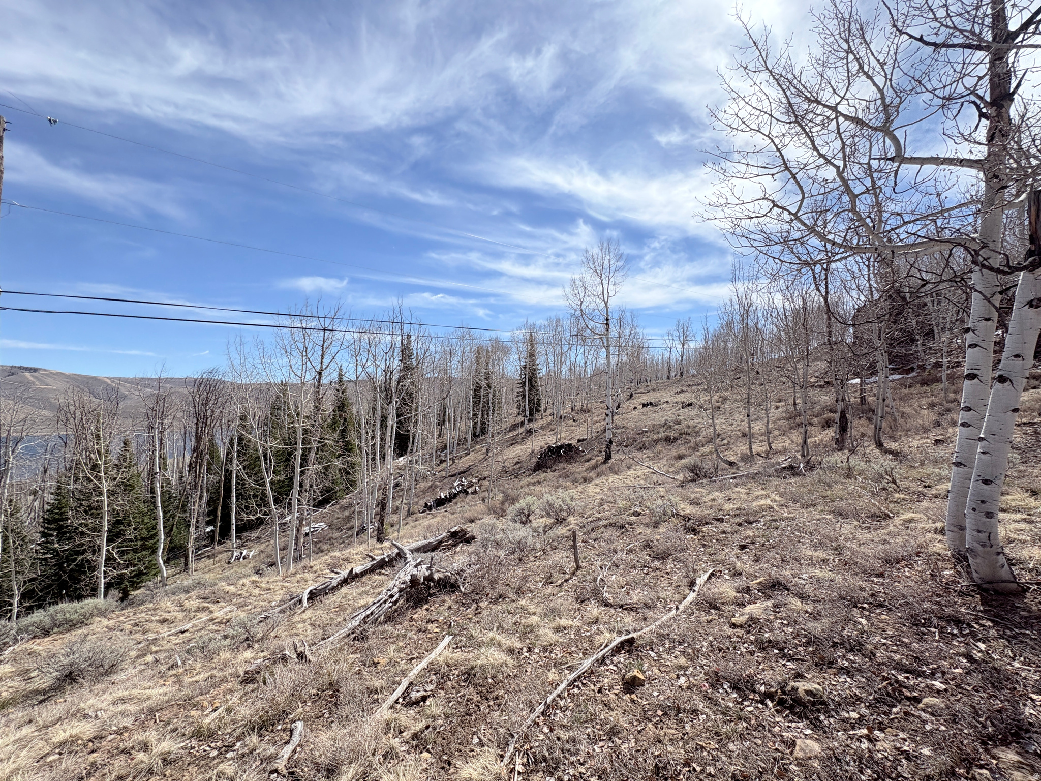 SCOFIELD MOUNTAIN HOMES - Land