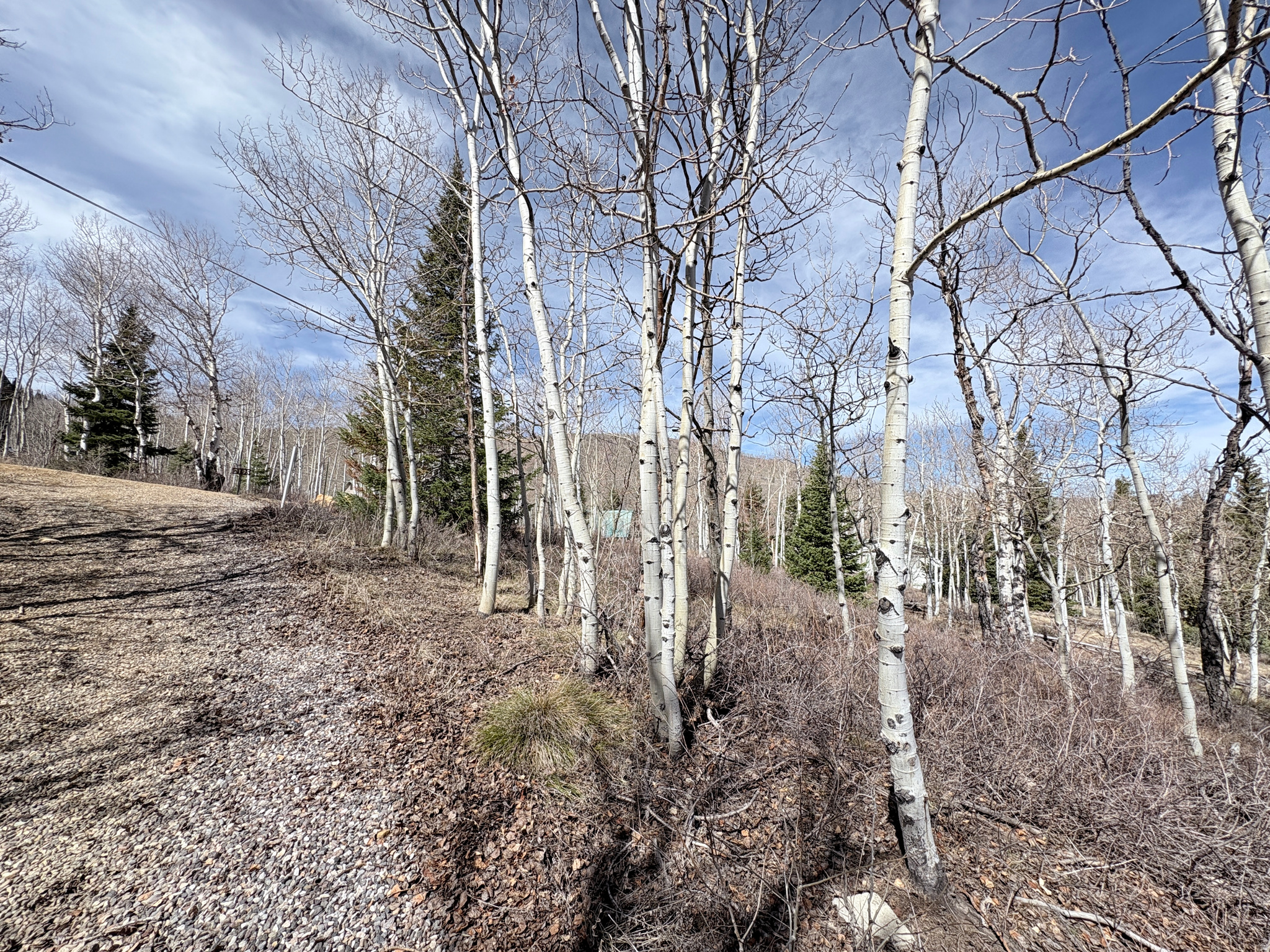 SCOFIELD MOUNTAIN HOMES - Land