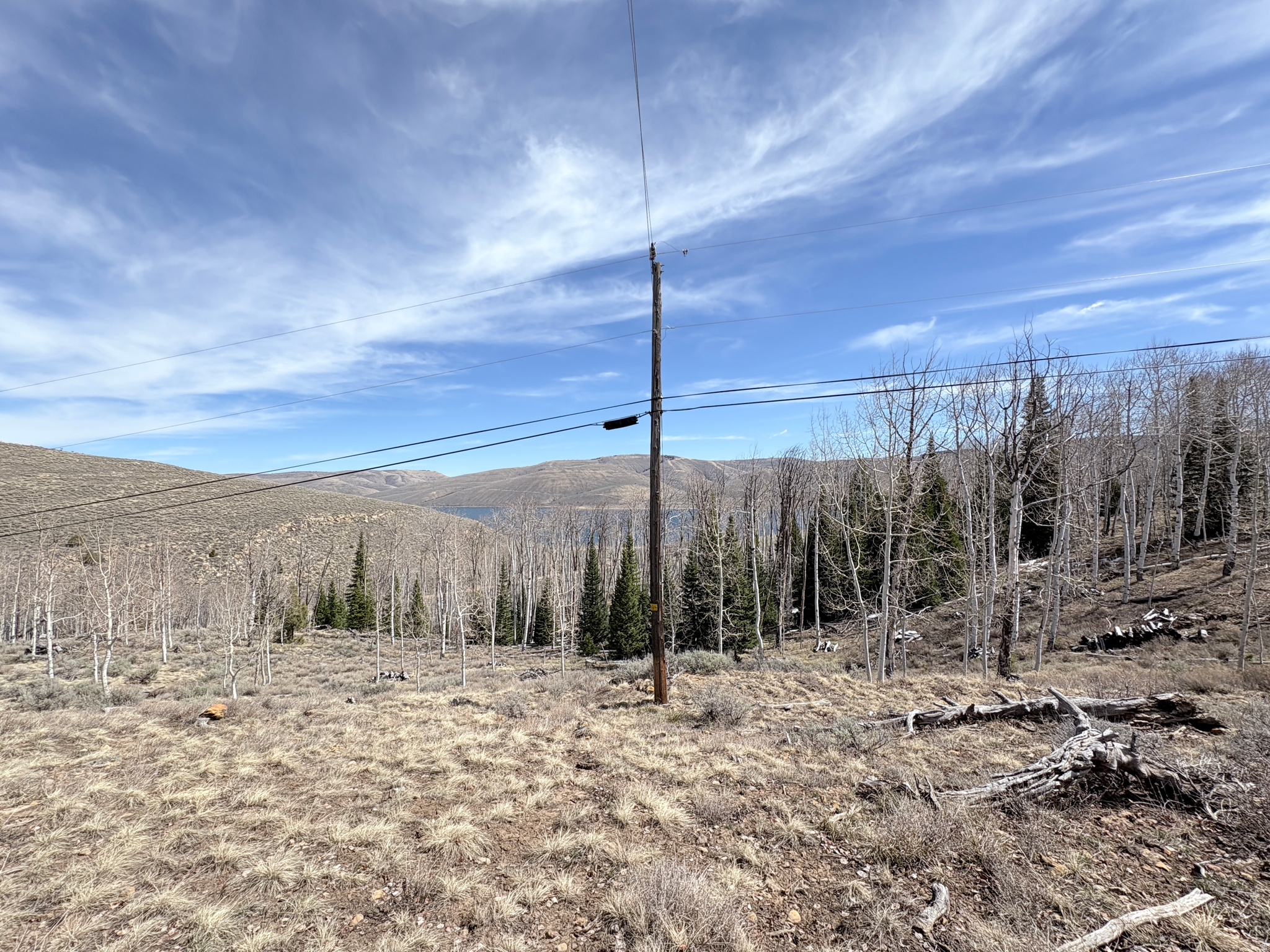 SCOFIELD MOUNTAIN HOMES - Land