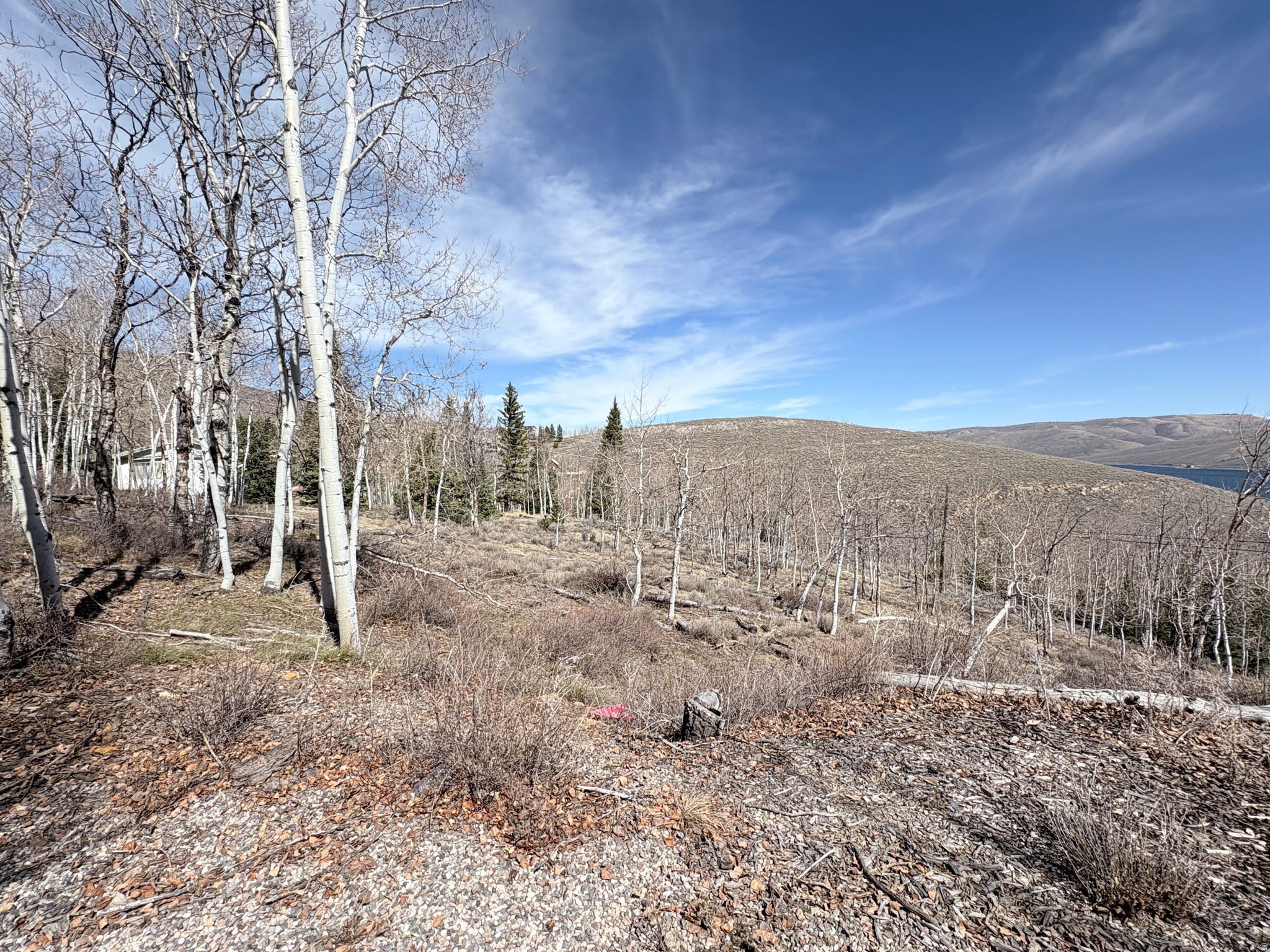 SCOFIELD MOUNTAIN HOMES - Land