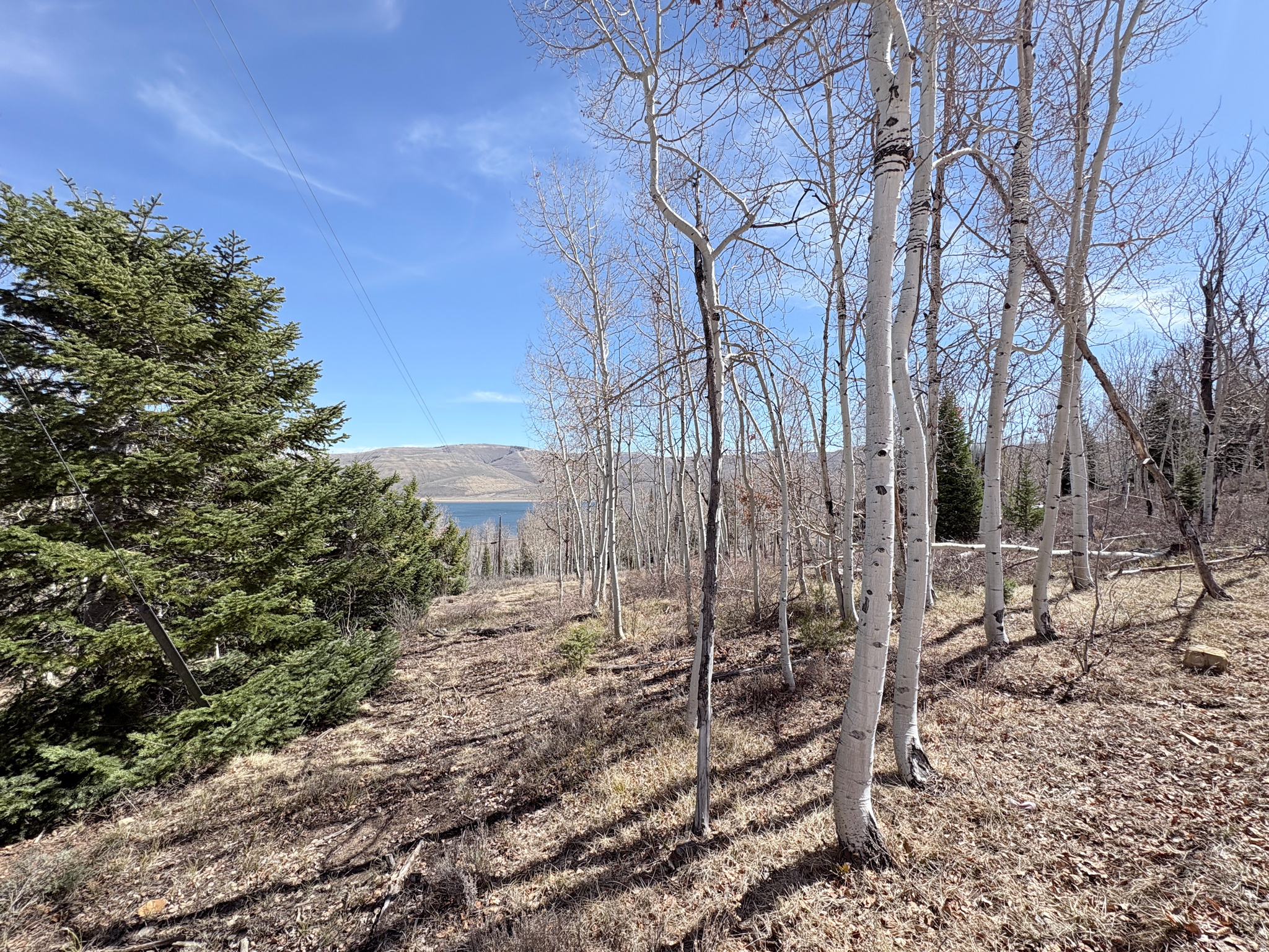 SCOFIELD MOUNTAIN HOMES - Land