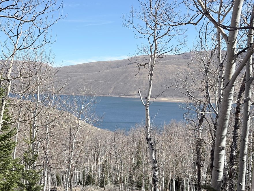 Rare opportunity to own a .36-acre slice of mountain paradise in the Scofield Mountain Homes Subdivision. Tucked among stunning aspen trees, this lot offers peaceful seclusion along with beautiful views of Scofield Reservoir-perfect for those looking to escape the hustle and reconnect with nature.  Whether you're dreaming of a full-time mountain home or the ultimate summer getaway, this property is ready to bring your vision to life. Zoned for a single-family residence or vacation retreat, it offers flexibility to create exactly what you've been looking for. **** Located just under two hours from Salt Lake City International Airport, you'll feel a world away without being too far from home. Spend your days exploring nearby Scofield State Park, boating or fishing on the reservoir, and enjoying endless outdoor recreation. **** In the winter, access becomes part of the adventure with snowmobile-only entry-turning your getaway into a true alpine experience. **** If you've been waiting for that perfect mountain lot, this is the one.