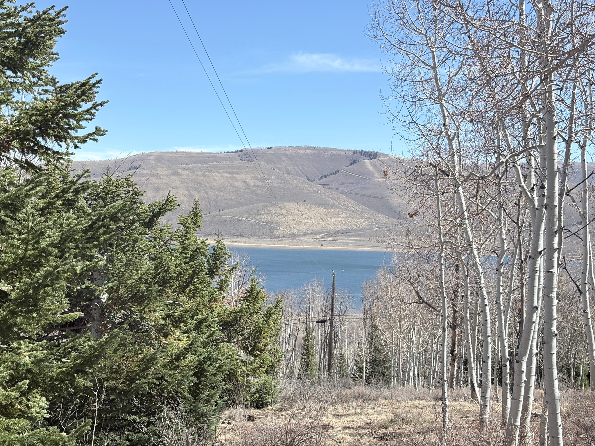 SCOFIELD MOUNTAIN HOMES - Land