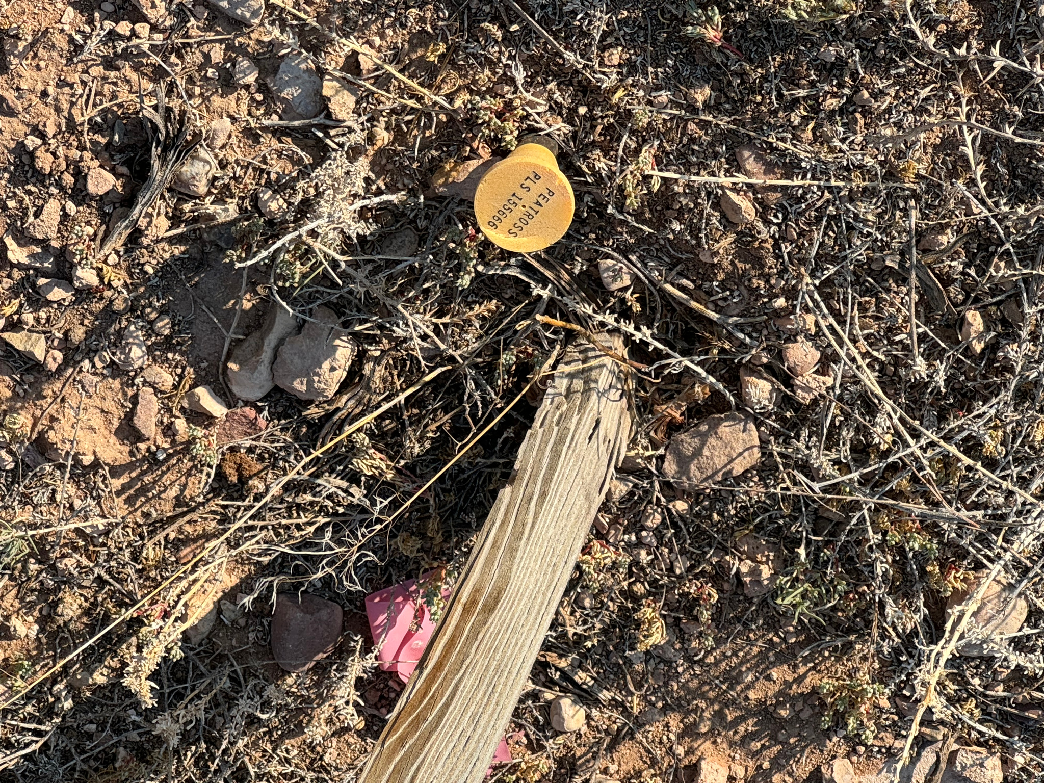 KNIGHTS RANCH MINOR SUBD - Land