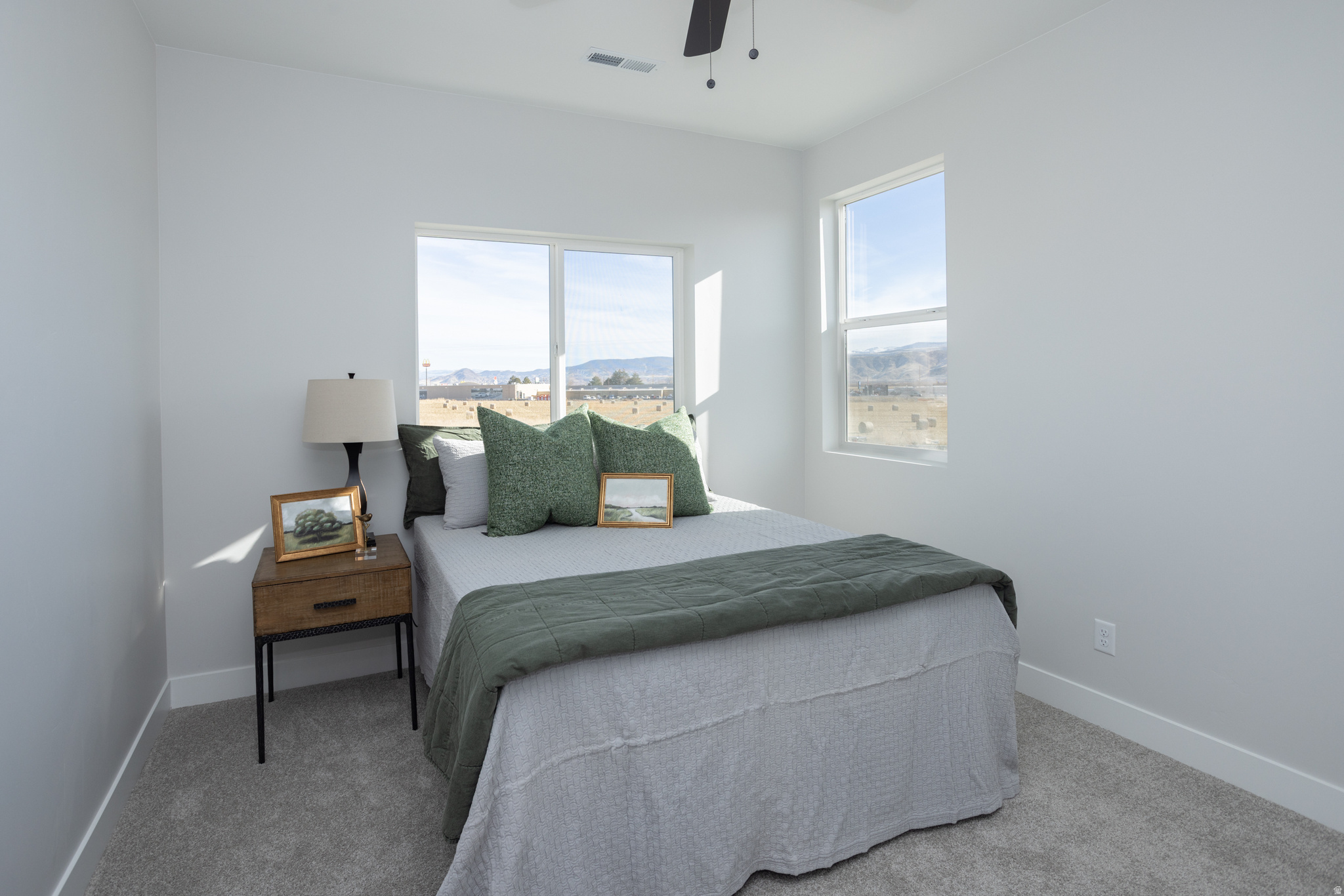 COVE MOUNTAIN VILLAGE - Residential