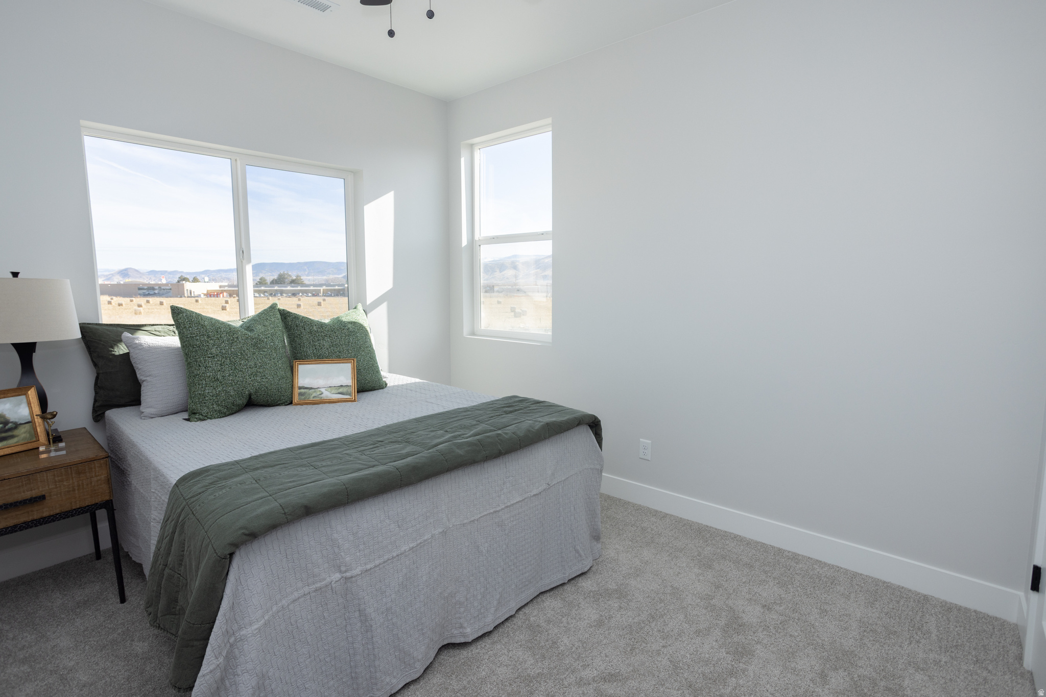 COVE MOUNTAIN VILLAGE - Residential