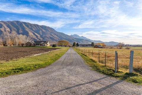 Tiny photo for Payson, UT 84651 (MLS # 2125655)