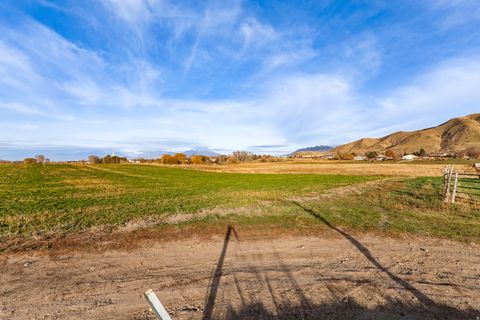 Tiny photo for Payson, UT 84651 (MLS # 2125655)