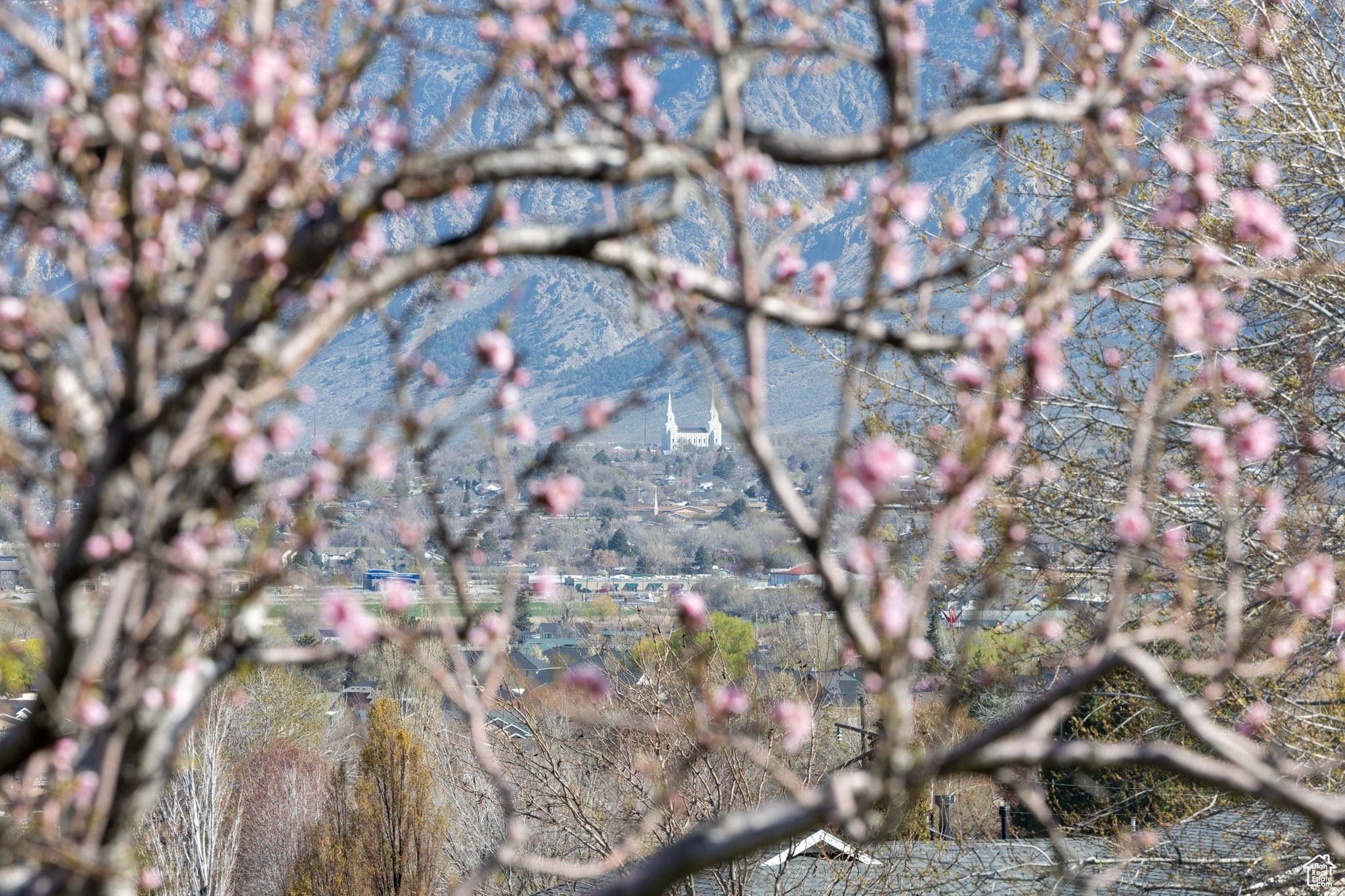 THREE MILE - Residential