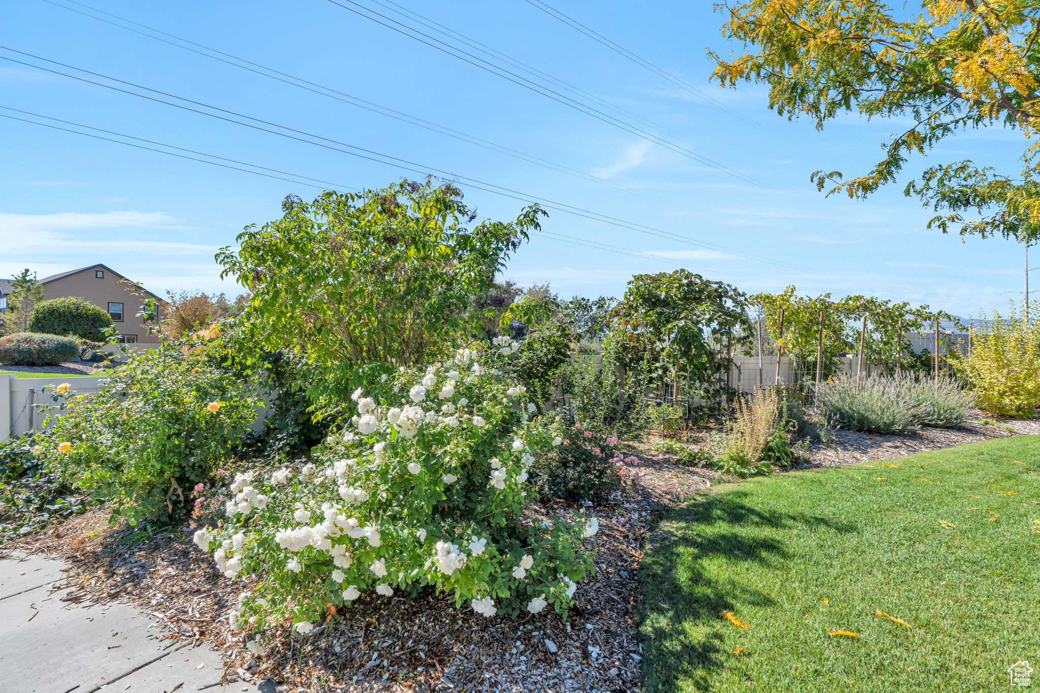 SPRING CREEK RANCH - Residential
