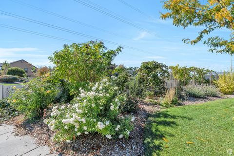 Tiny photo for 1752 S WEEPING WILLOW WAY S, Lehi, UT 84043 (MLS # 2115248)