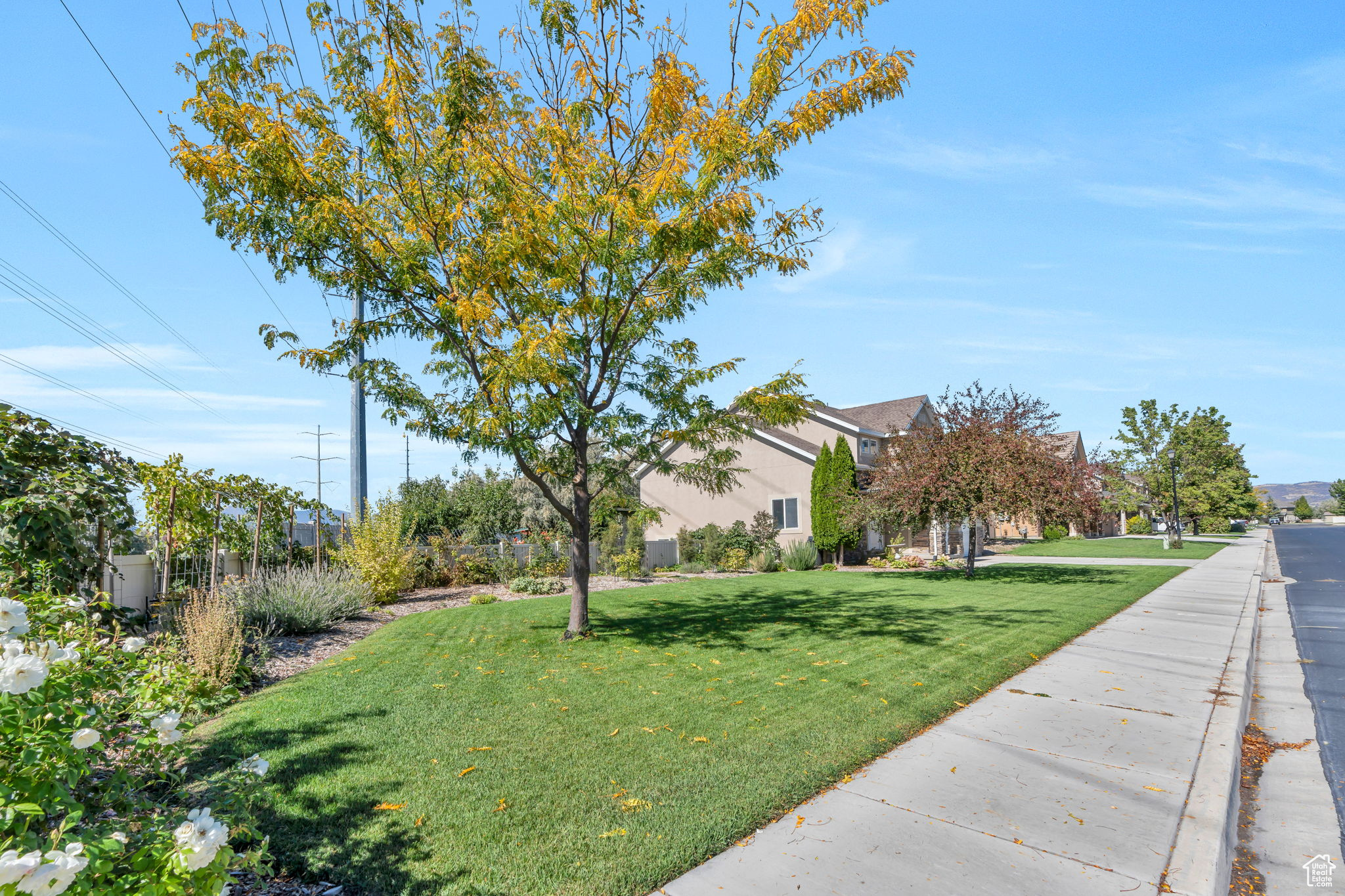 SPRING CREEK RANCH - Residential