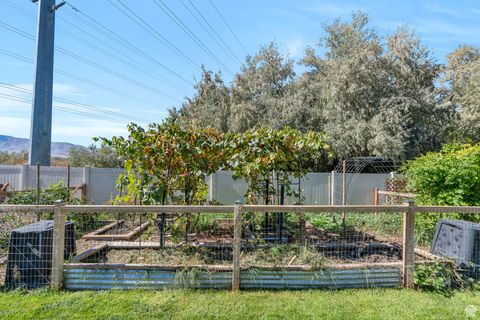 Tiny photo for 1752 S WEEPING WILLOW WAY S, Lehi, UT 84043 (MLS # 2115248)