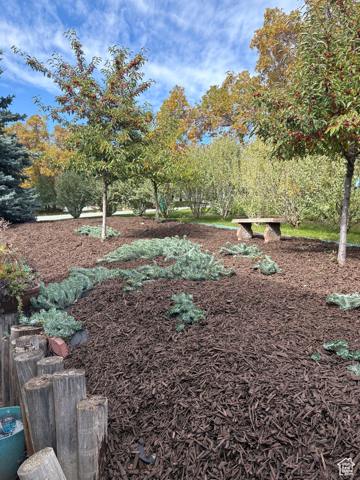 OAK FOREST - Residential