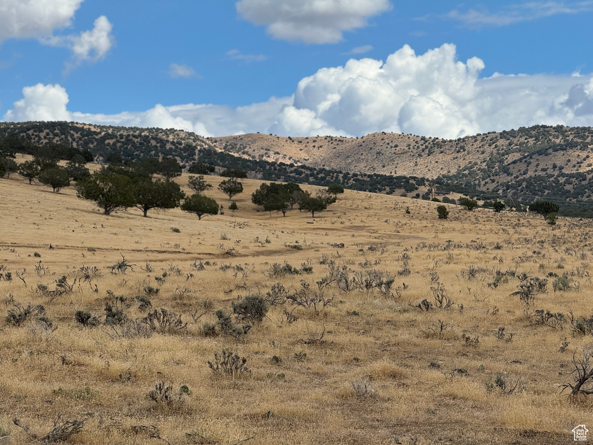 GRANDVIEW MOUNTAIN ESTATES - Land