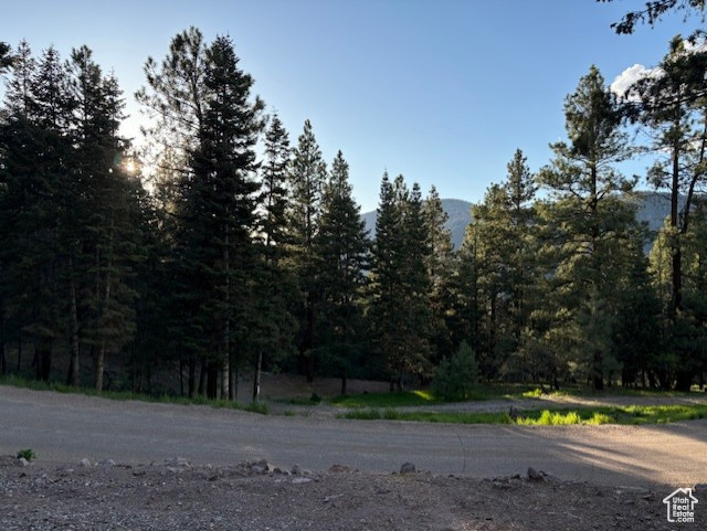 820 S Kents Lake Rd #5, Beaver, Utah image 6