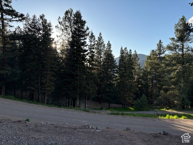 820 S Kents Lake Rd #5, Beaver, Utah image 7
