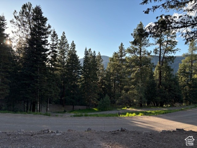 820 S Kents Lake Rd #5, Beaver, Utah image 4