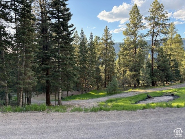 820 S Kents Lake Rd #5, Beaver, Utah image 8