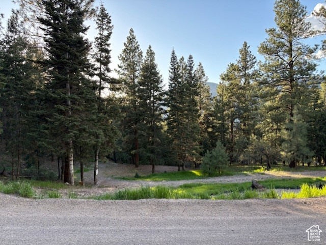 820 S Kents Lake Rd #5, Beaver, Utah image 9