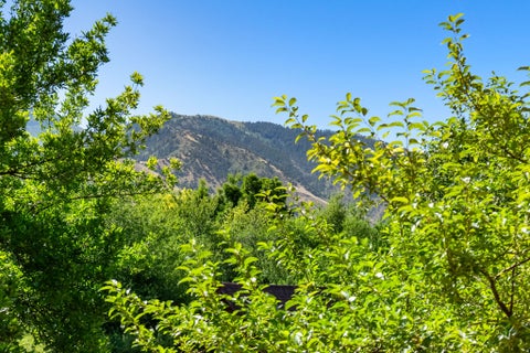 Tiny photo for 435 CANYON RD, Providence, UT 84332 (MLS # 2170600)