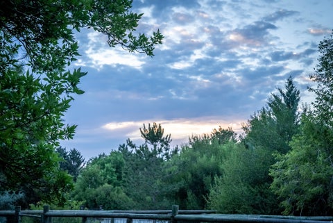 Tiny photo for 435 CANYON RD, Providence, UT 84332 (MLS # 2170600)
