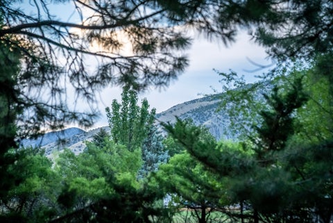 Tiny photo for 435 CANYON RD, Providence, UT 84332 (MLS # 2170600)