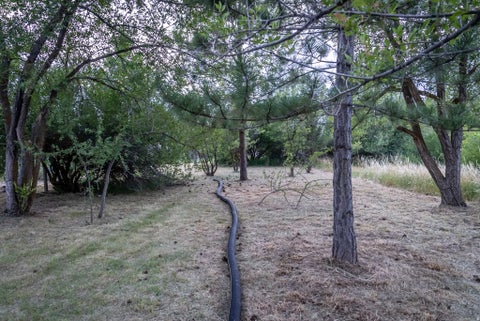 Tiny photo for 435 CANYON RD, Providence, UT 84332 (MLS # 2170600)